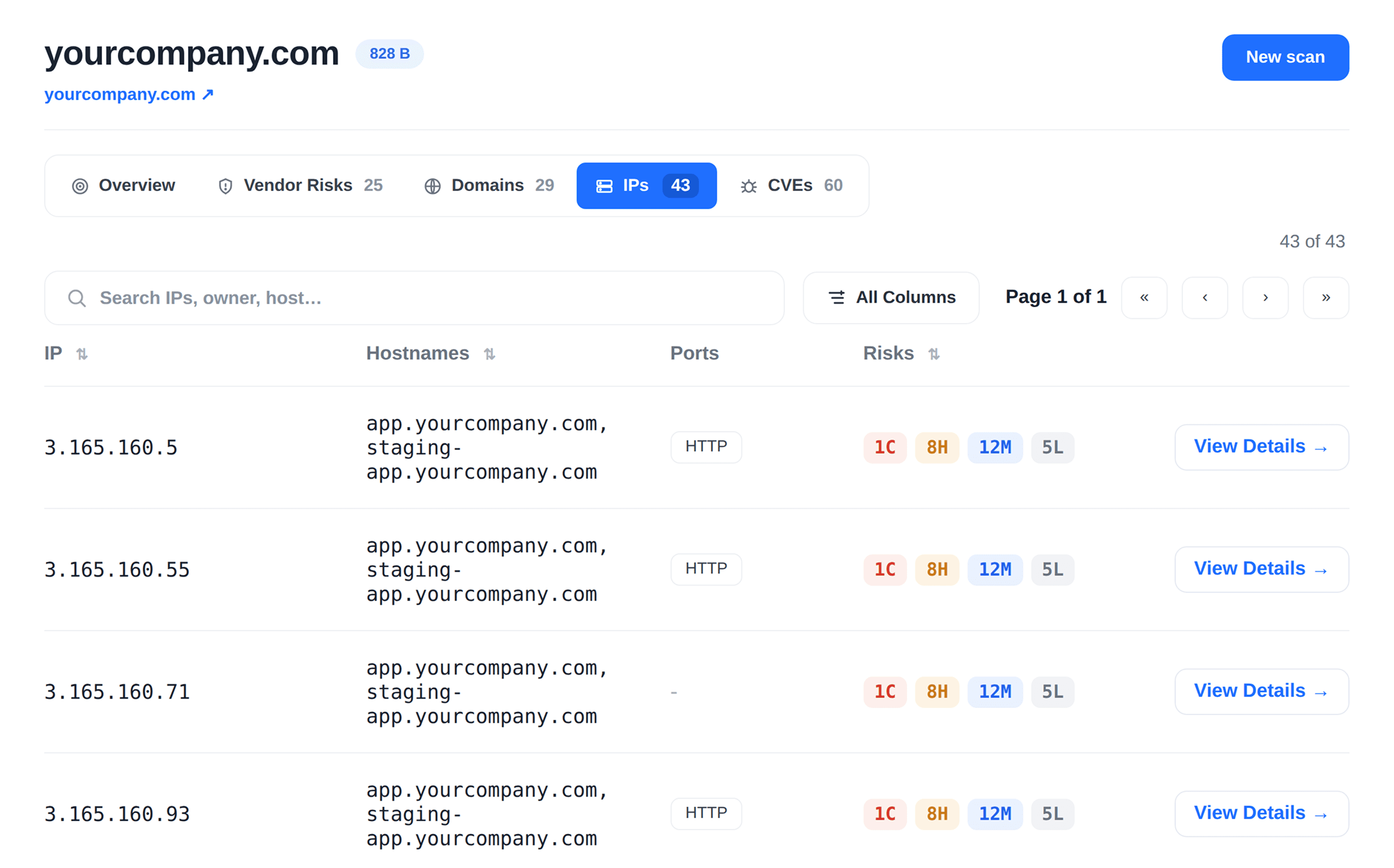 CodeAnt AI IP scan listing hosts, ports, and risk counts