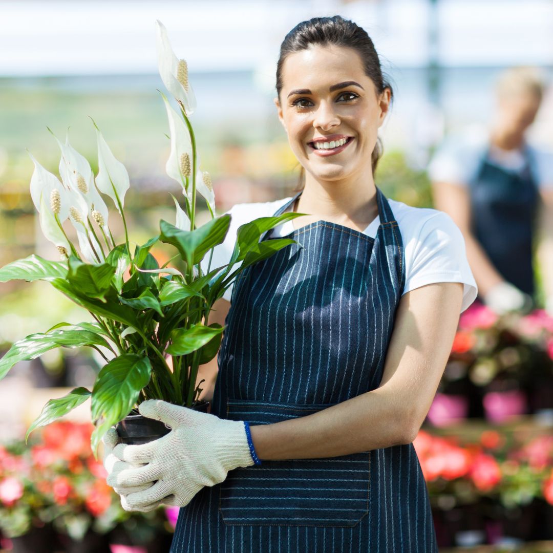 Couple holding potted plants in a greenhouse.