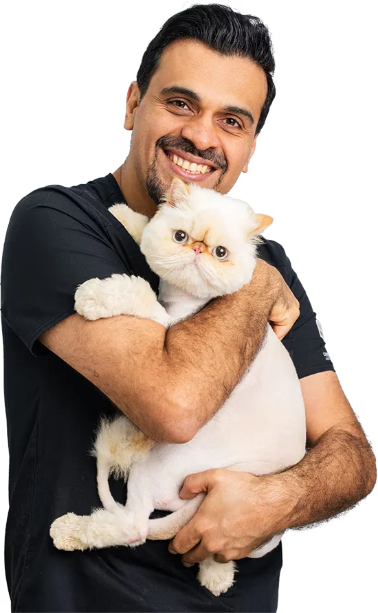 Healthy Skin & Coat Solutions for Your Pet