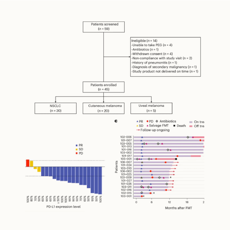 Fecal microbiota transplantation plus immunotherapy in non-small cell lung cancer and melanoma: the phase 2 FMT-LUMINate trial