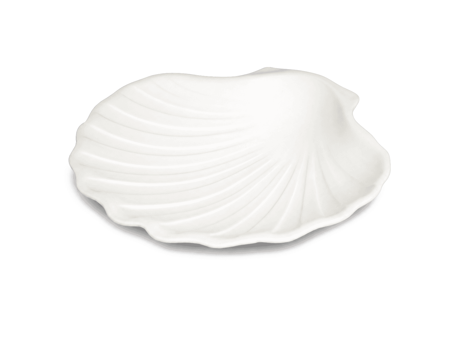 Coupelle en céramique blanche mate en forme de coquille Saint-Jacques avec nervures en relief