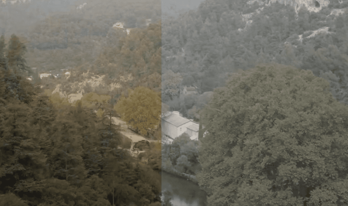 a person holding a small bowl of food