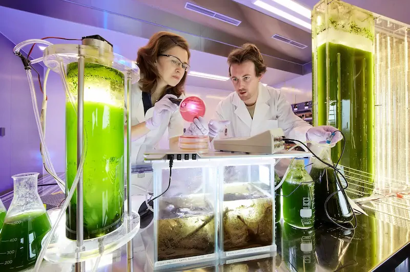 Two scientists in lab coats conducting experiments with green liquid in large glass containers and flasks, illuminated by purple and white lighting.