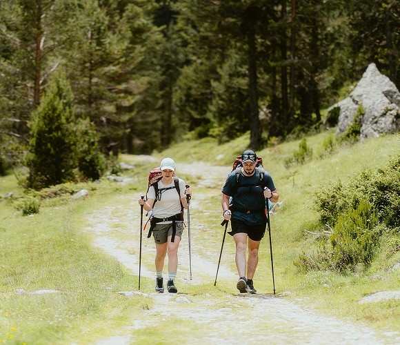 Personalised Day Tours