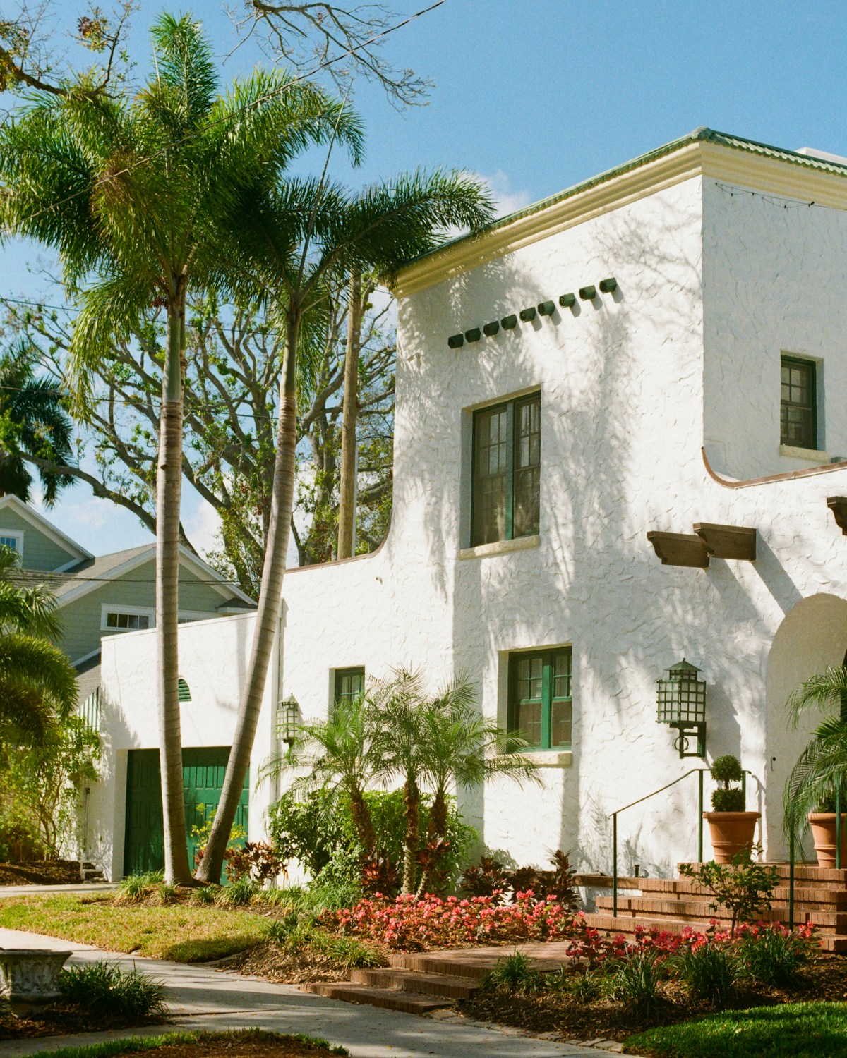 Whitewashed stucco residence framed by tall palms and a flowering front garden