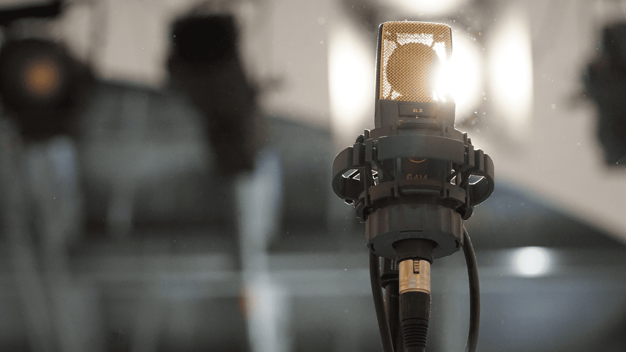 Project Gallery Image for 50% width of the screen #2