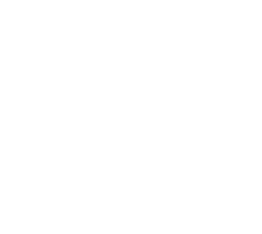 United Tree Service Inc. photo 4