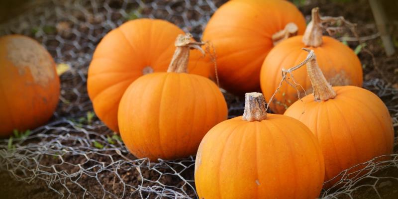 Frutta e verdura di ottobre: la zucca