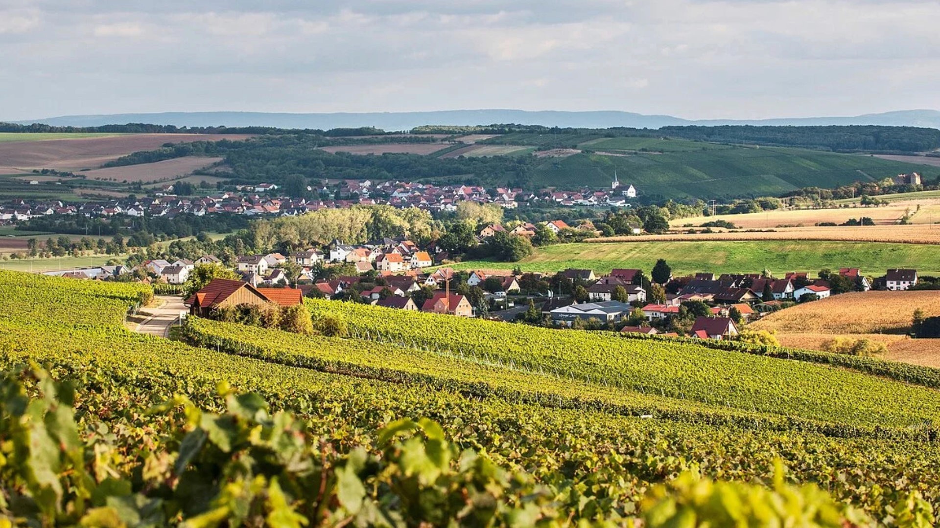 Wipfeld Weinberge Aussicht Zehntgraf Laube
