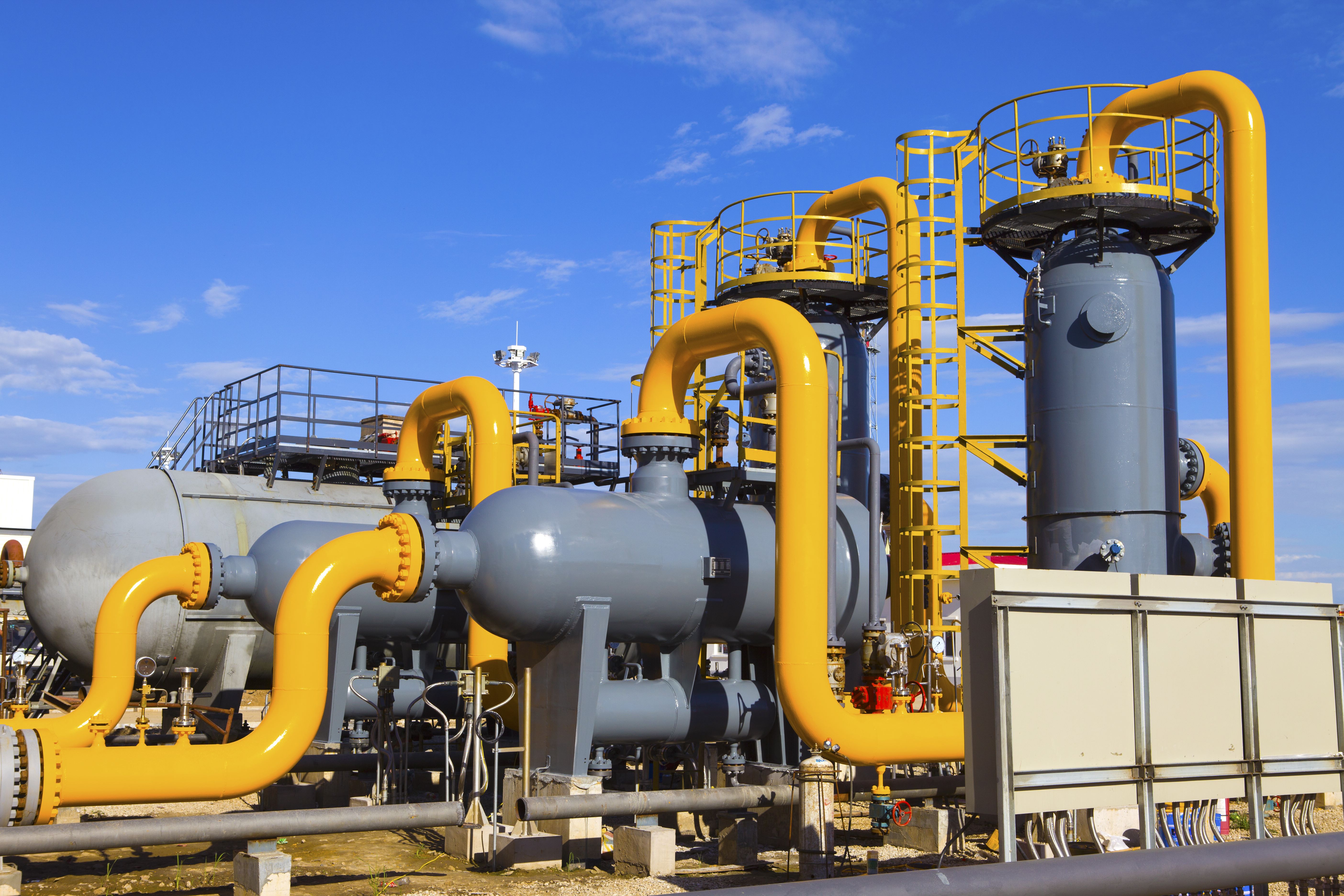 Fuel gas skid with regulators, filters, and instrumentation for safe gas delivery