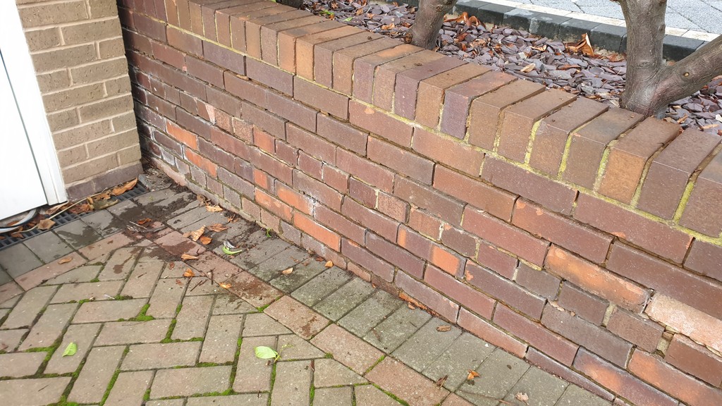 A garden wall that needs repointing