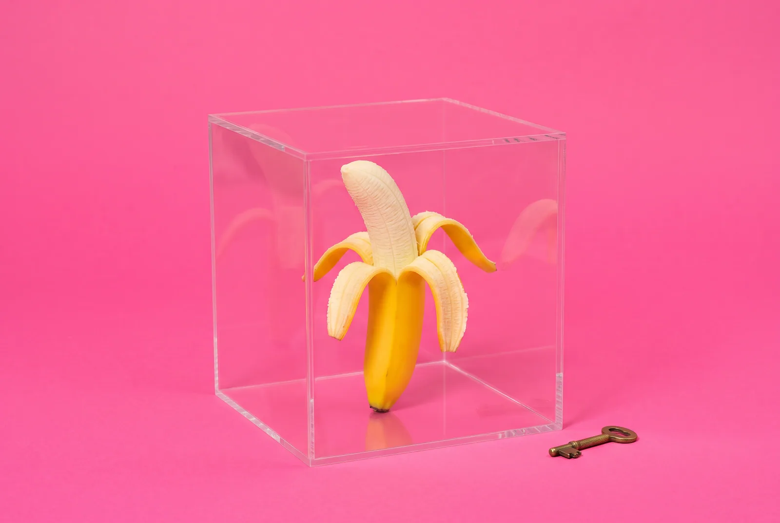 Half-peeled banana standing inside a clear open-top acrylic box on a hot pink backdrop, illustrating transparency when rebuilding trust after porn betrayal