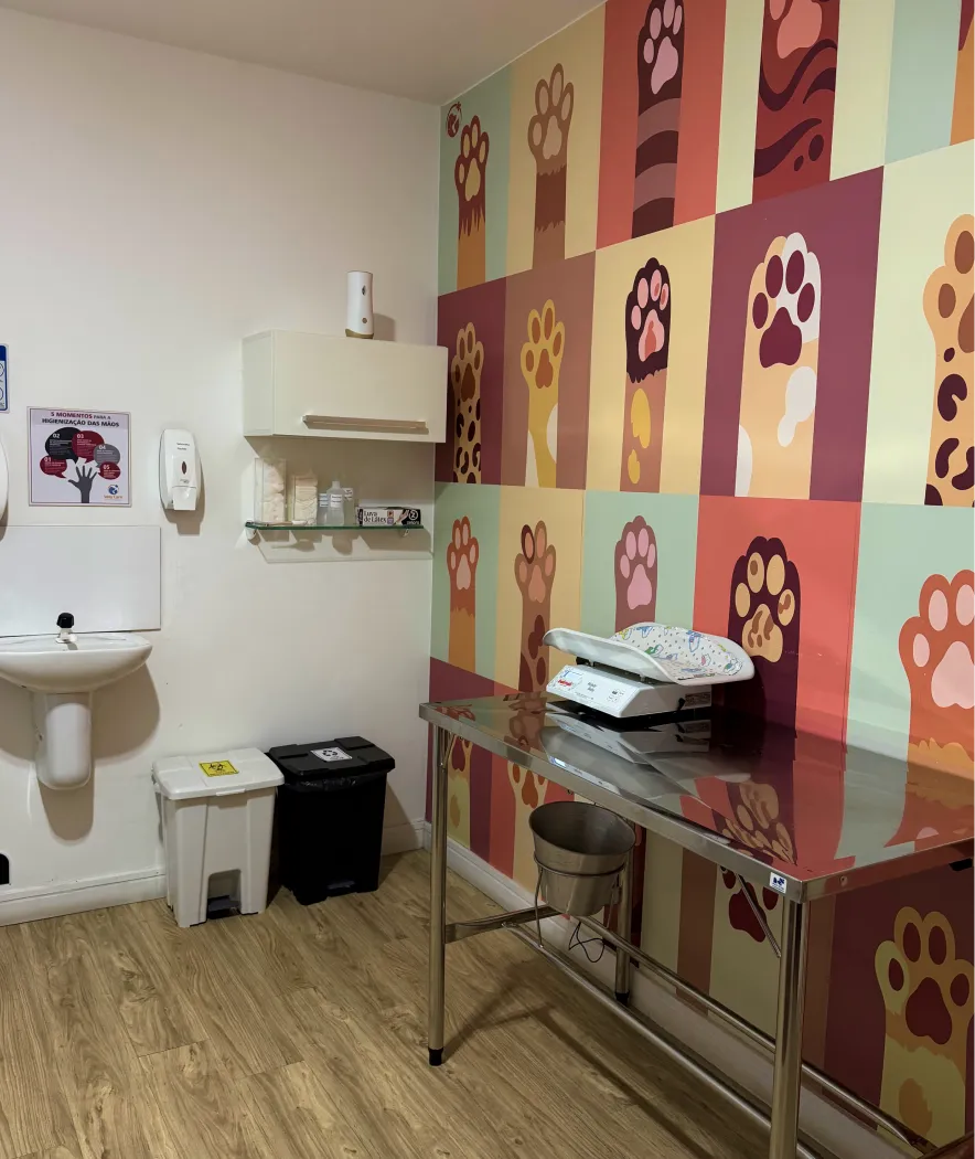 Estrutura WayCare