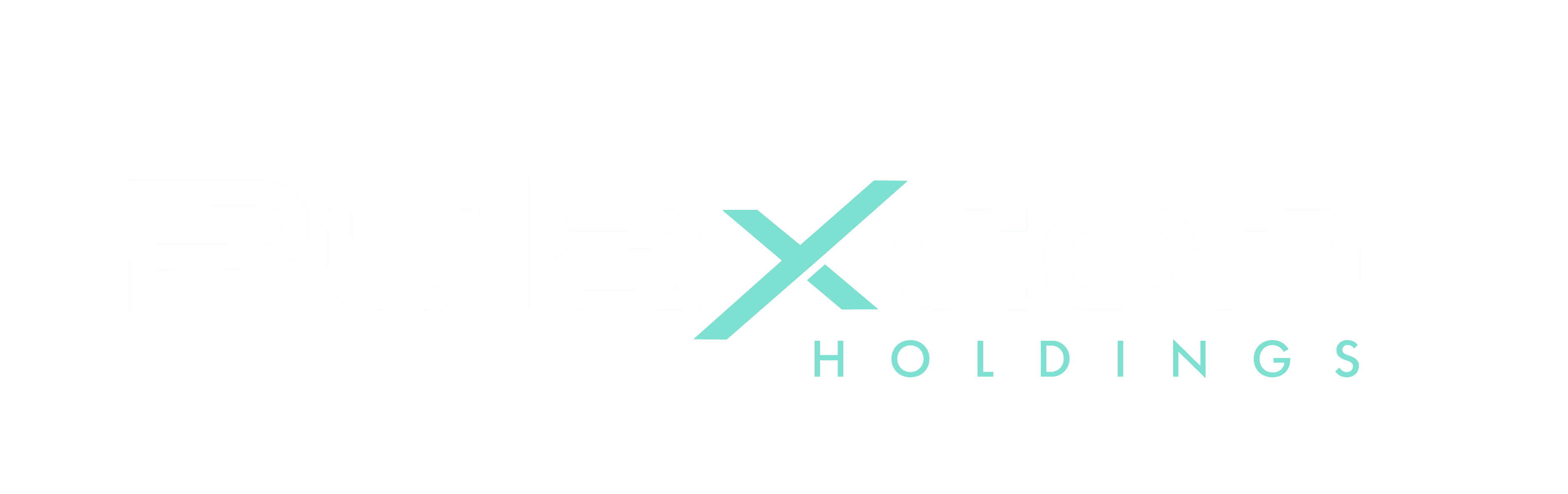 Pulaxcon logo