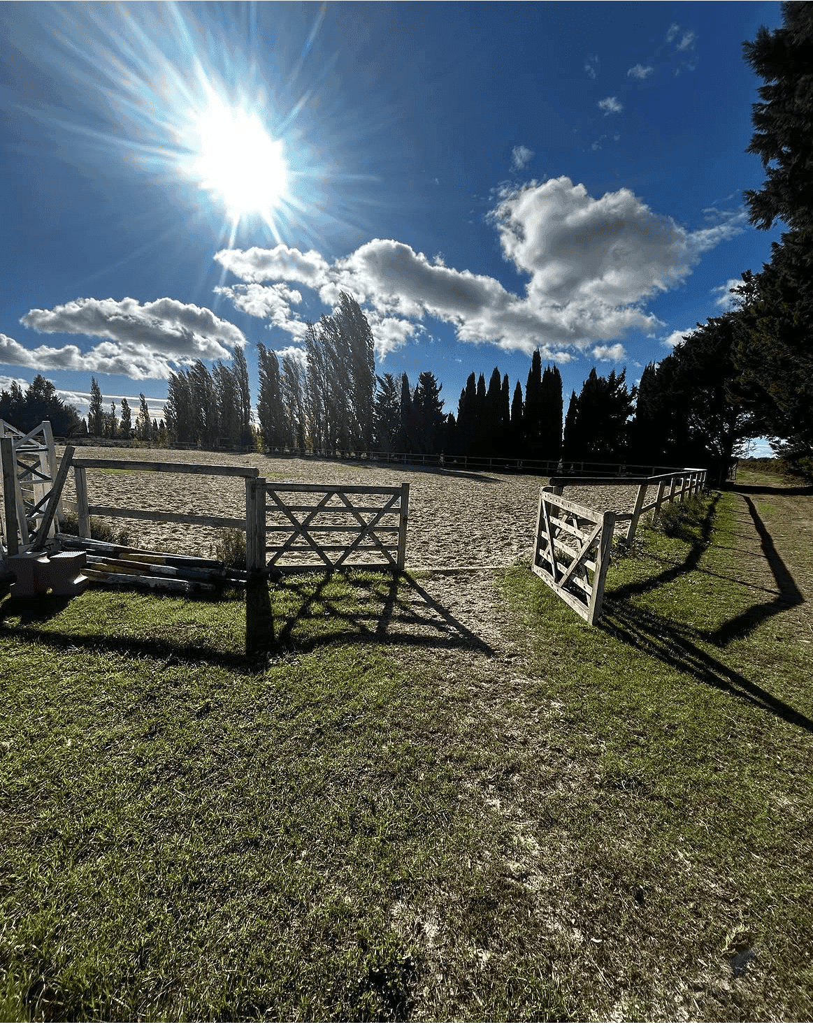 Carrriere equitation au ranch pegase