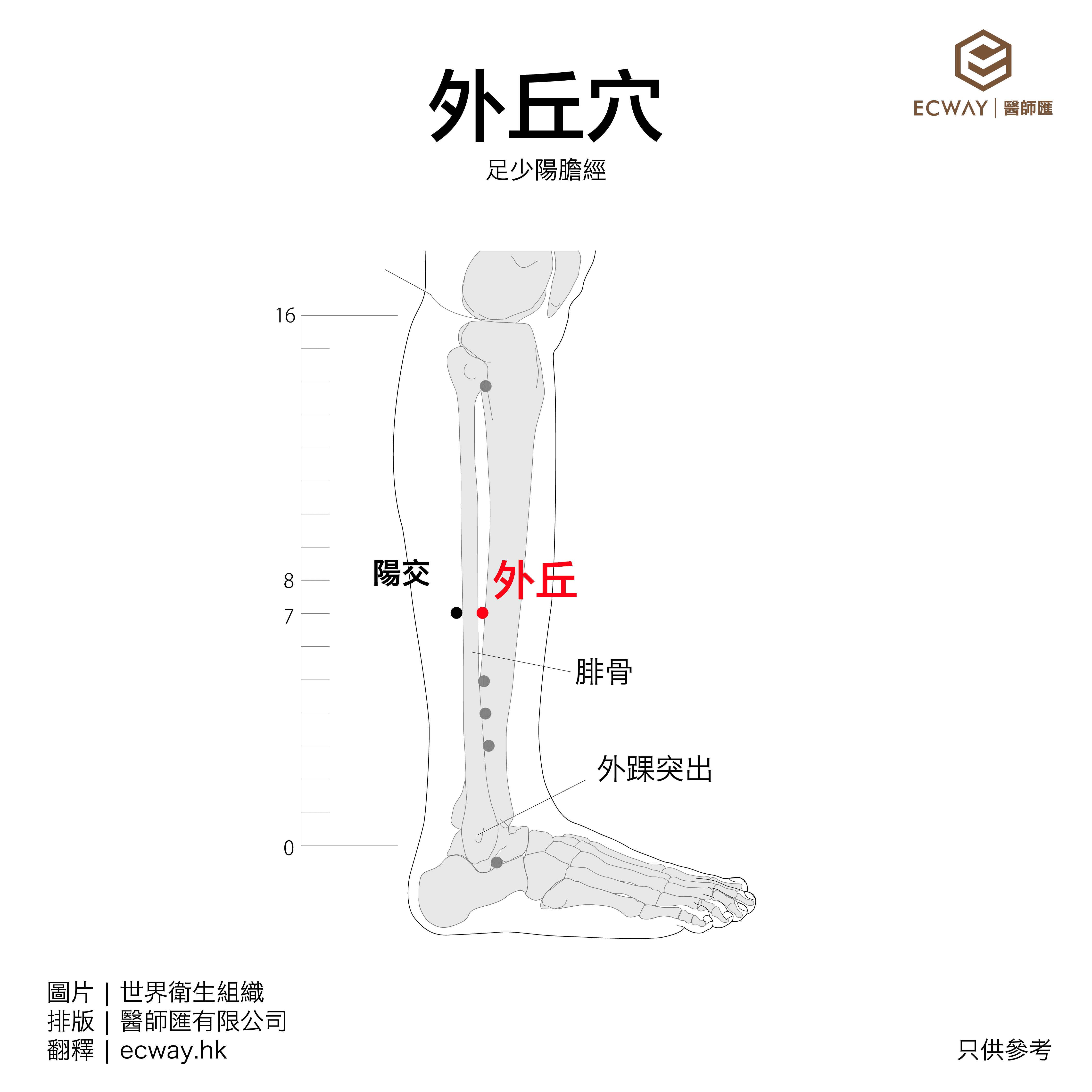 外丘穴