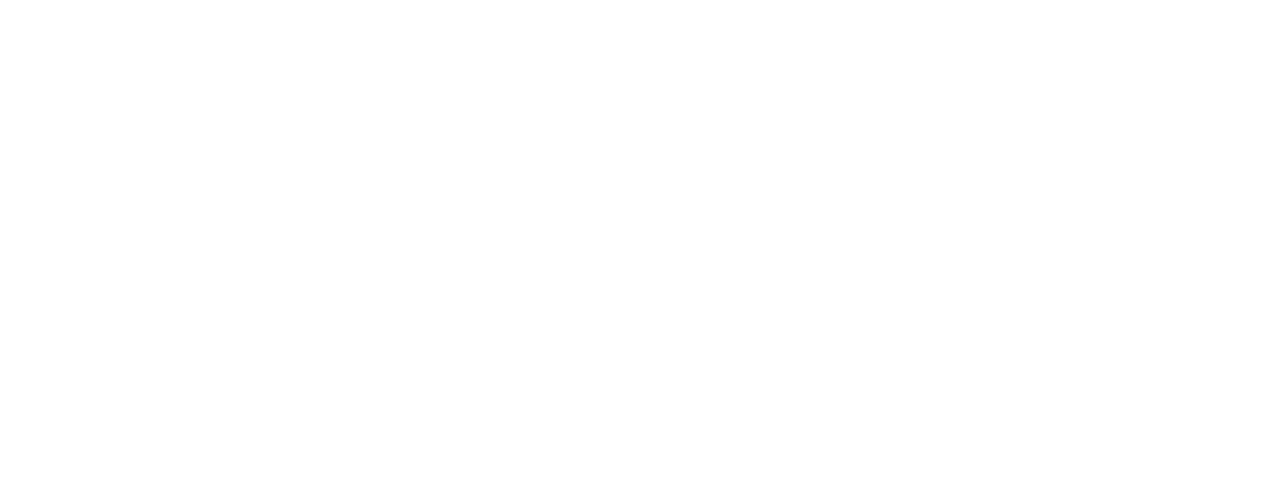 Ford Motor Company white logo