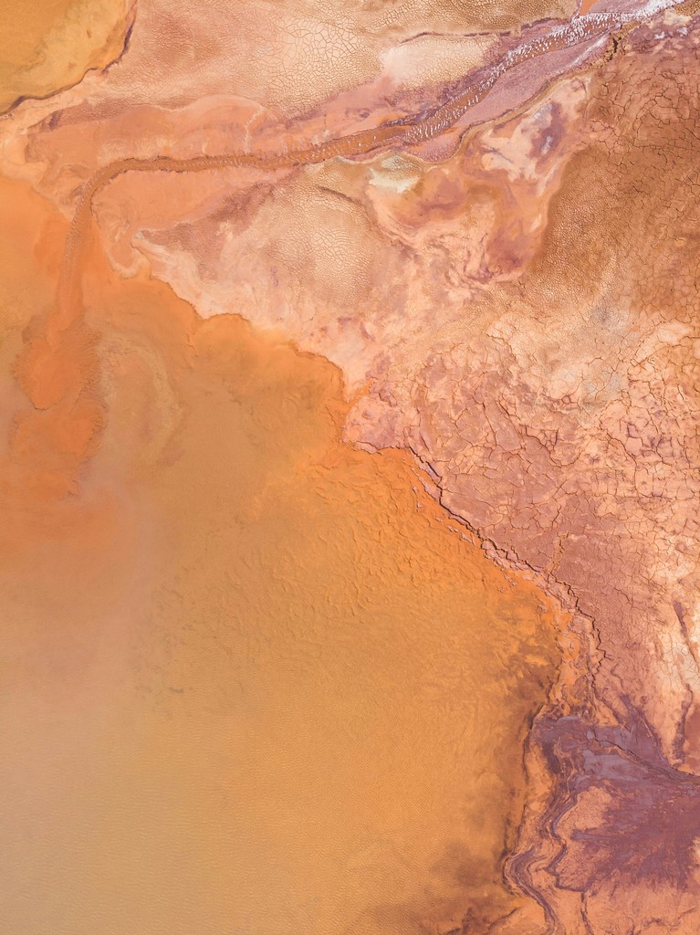 Minerales para ganado: Beneficios y su combinación con el aceite acidulado