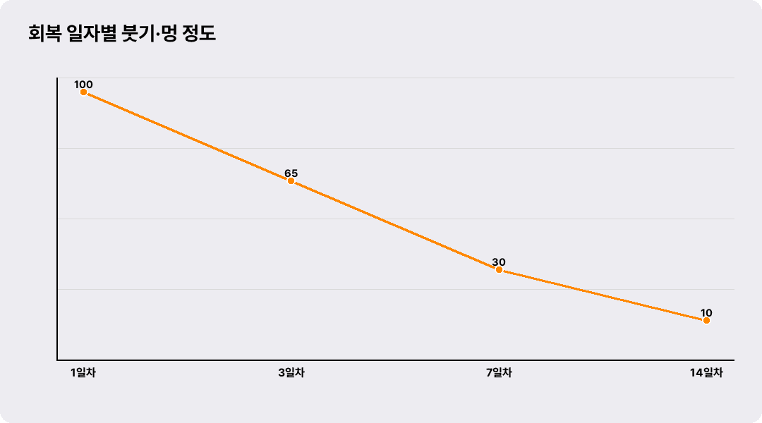 회복 일자별 붓기·멍 정도