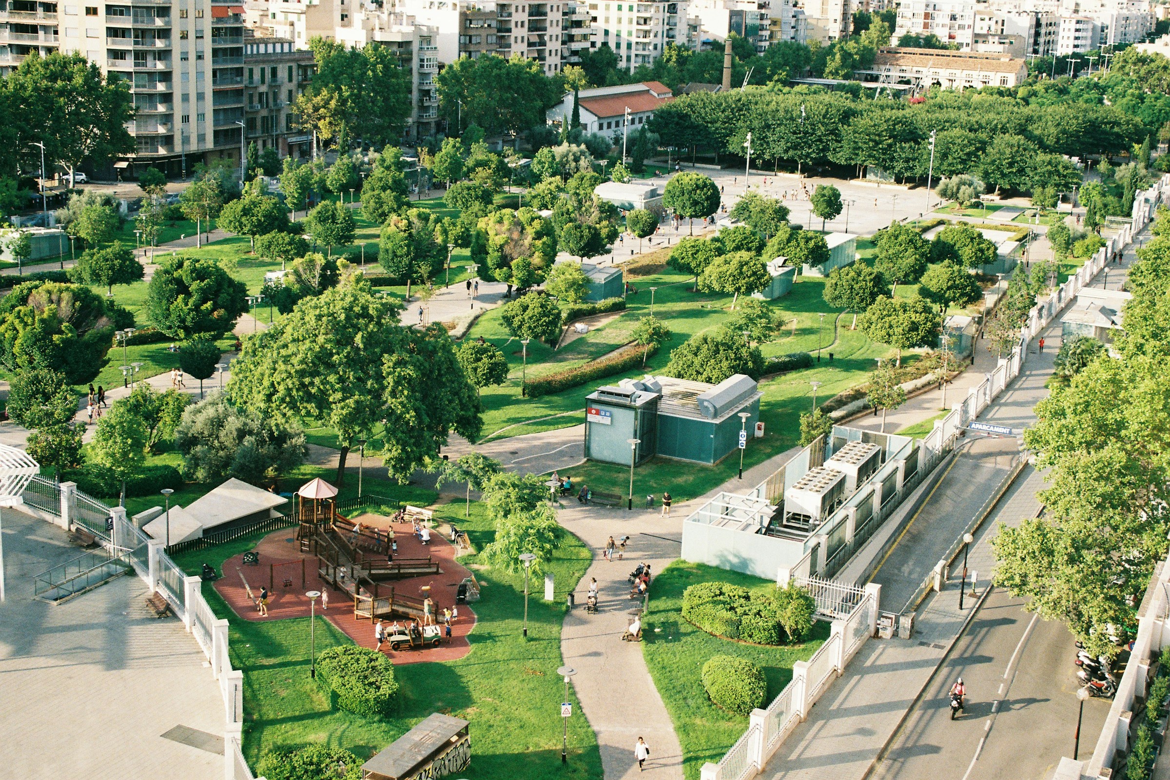 top view of a garden with tress