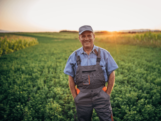 Resources and expert support for suppliers to improve sustainability, reduce costs, and participate in supplier engagement with UK businesses