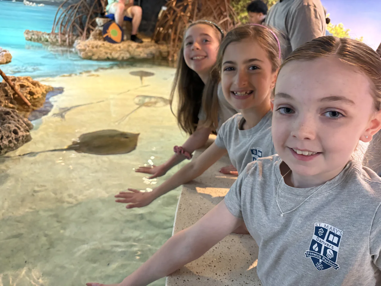 Three students in St. Mary’s shirts reaching into an aquarium touch tank with rays