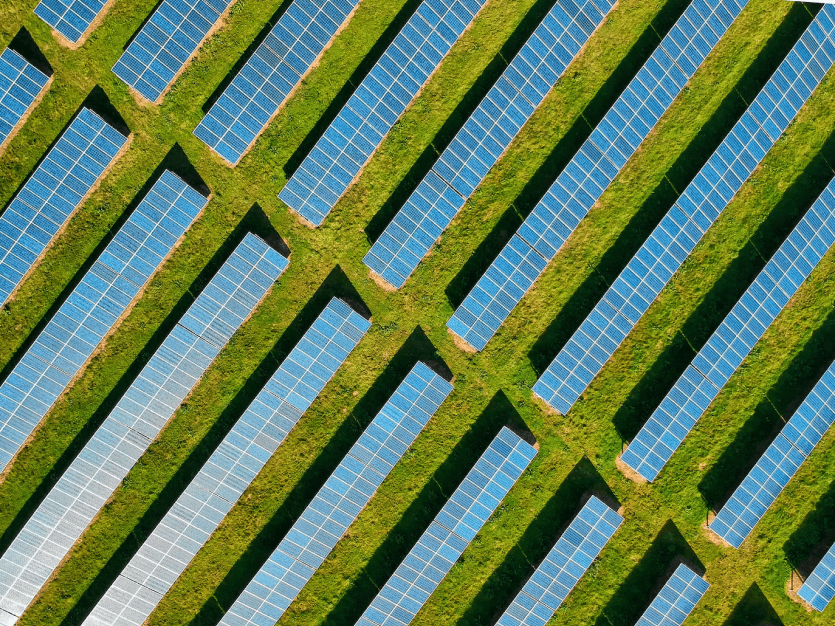 Ein grünes Feld auf dem Solarpanele stehen