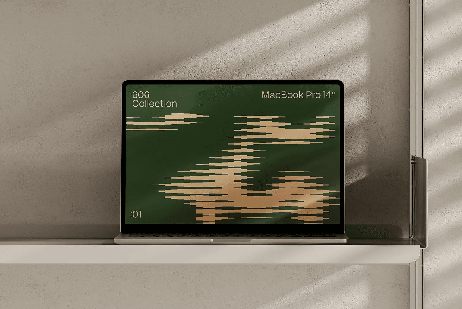 case image