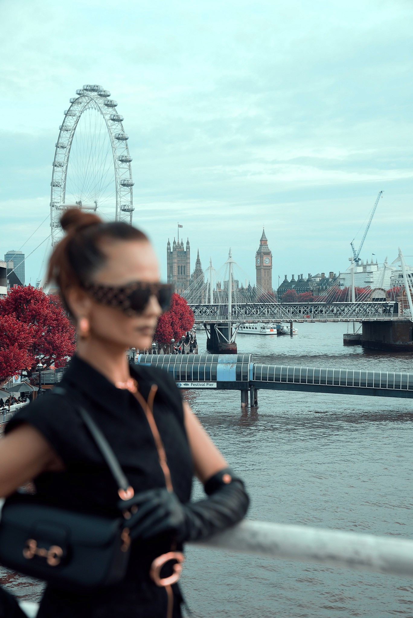Shiba Inu dog walking on leaf-covered ground