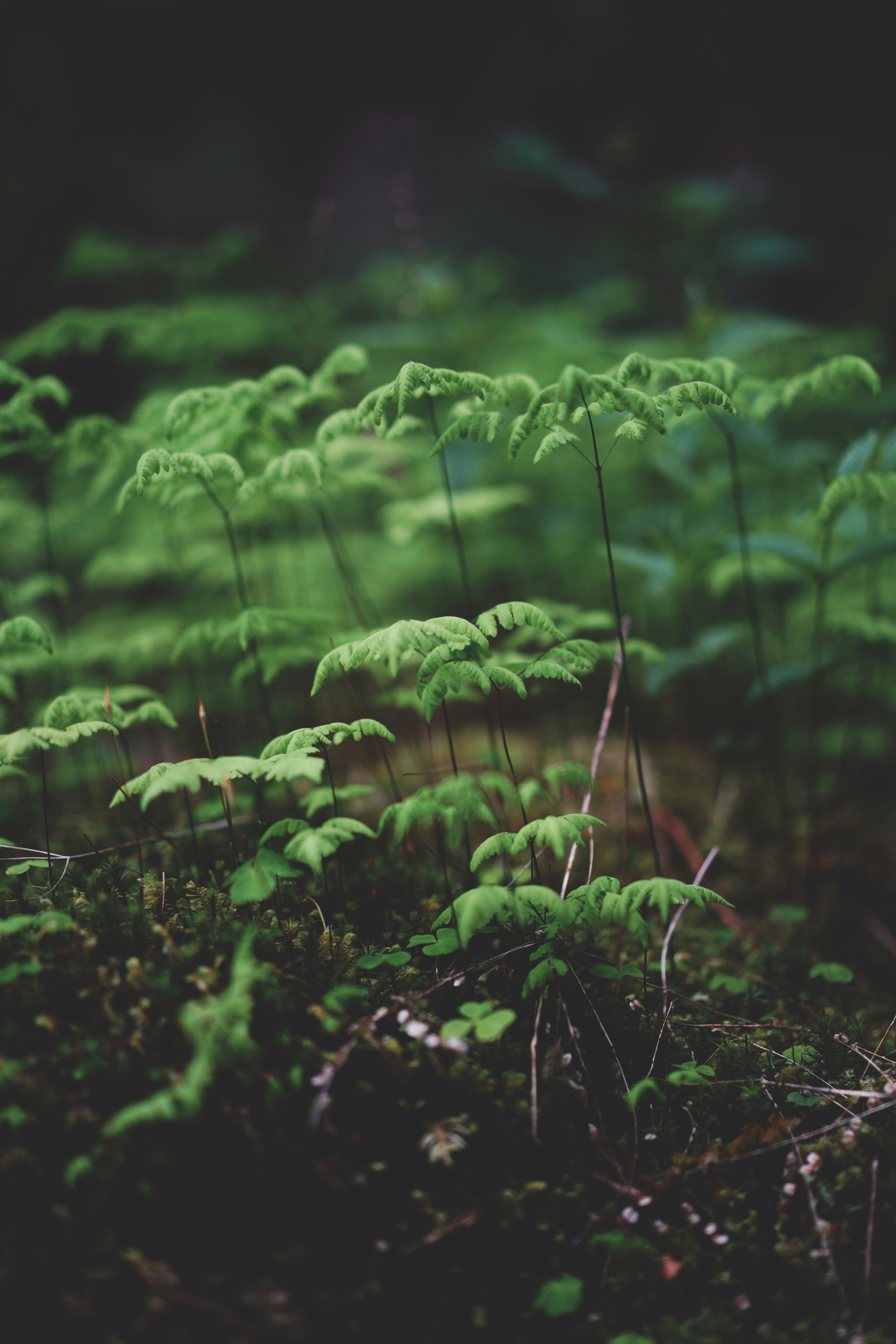 Michael Carter profile with a dynamic light