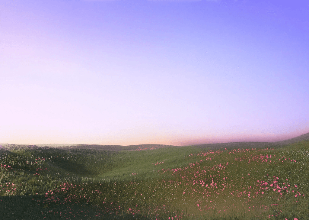 Hintergrund bild mit einer Landschaft, unten eine Wiese und oben der Abendhimmel