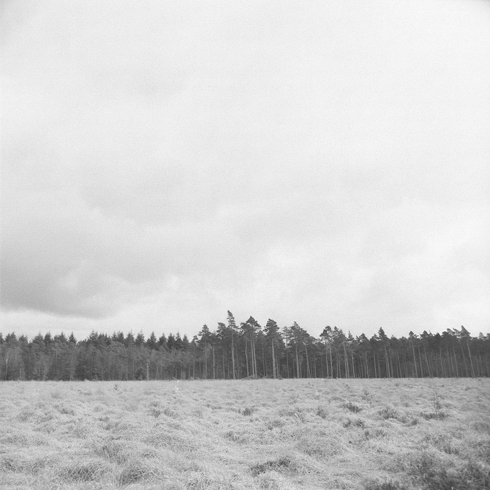 Photograph title Copy Copy Copy Copy Copy Copy Copy Copy Copy Copy