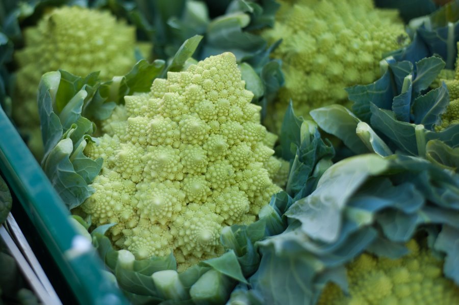 Broccolo romanesco