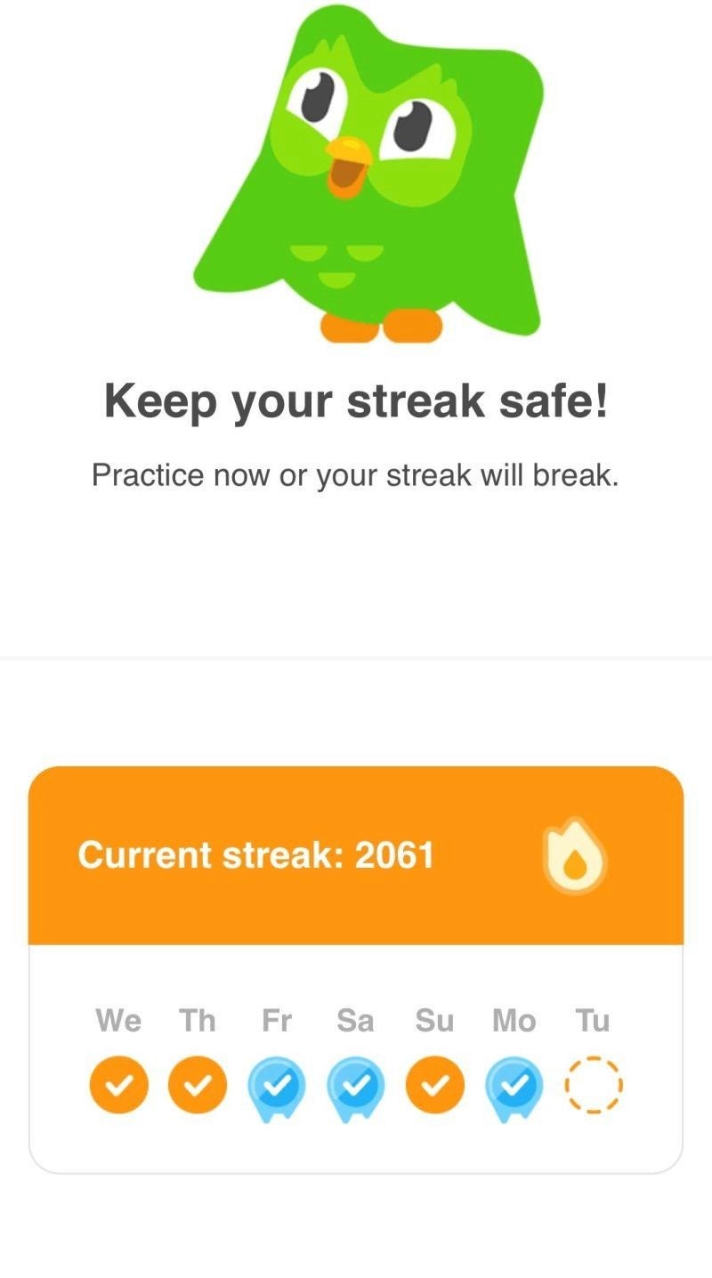 After 2,061 days (5.5 years), my Duolingo streak ended. | Fleur van Dommelen