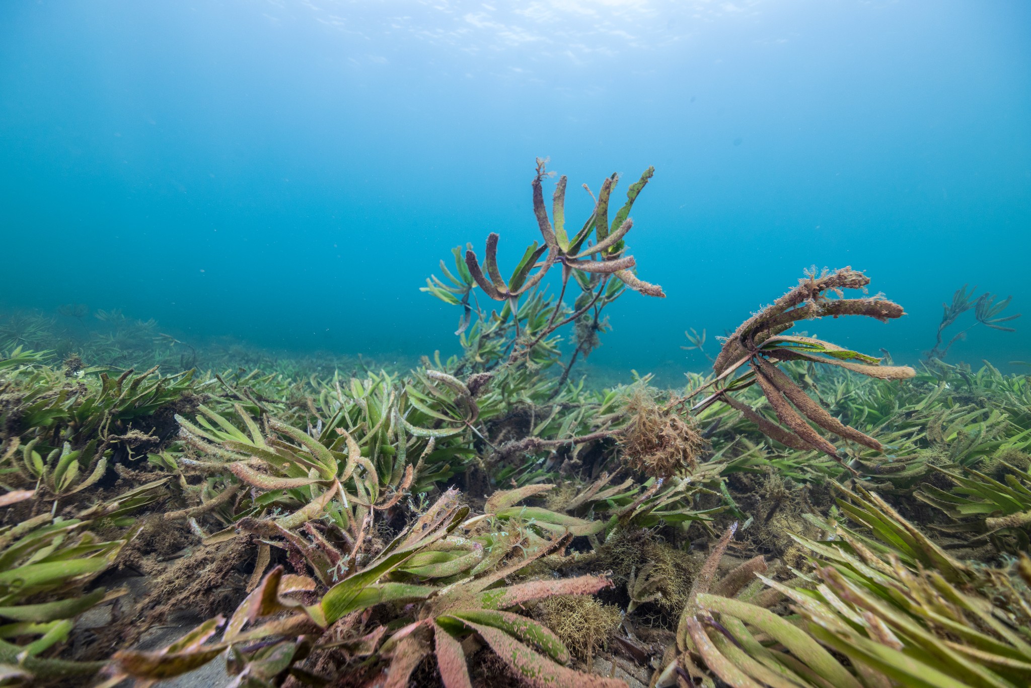 woman holding a phone and man looking at the phone. both are smiling