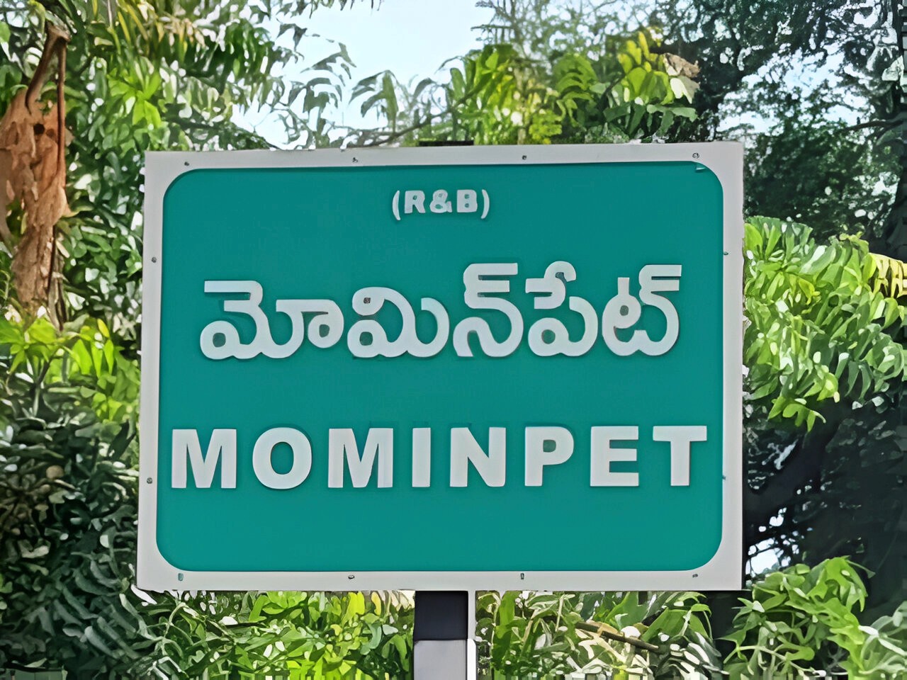 Mominpet Blog Cover