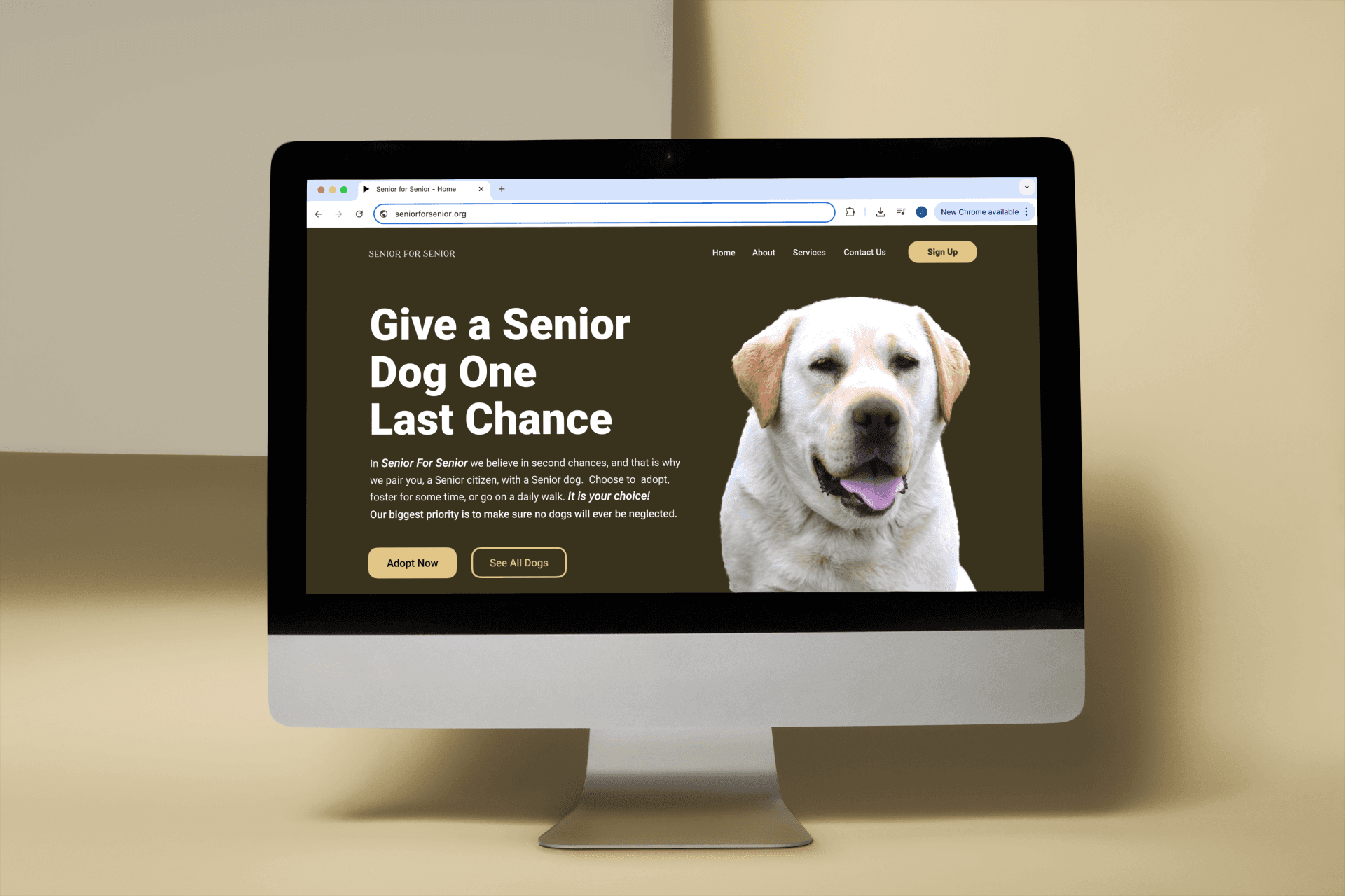mockup of the landing page