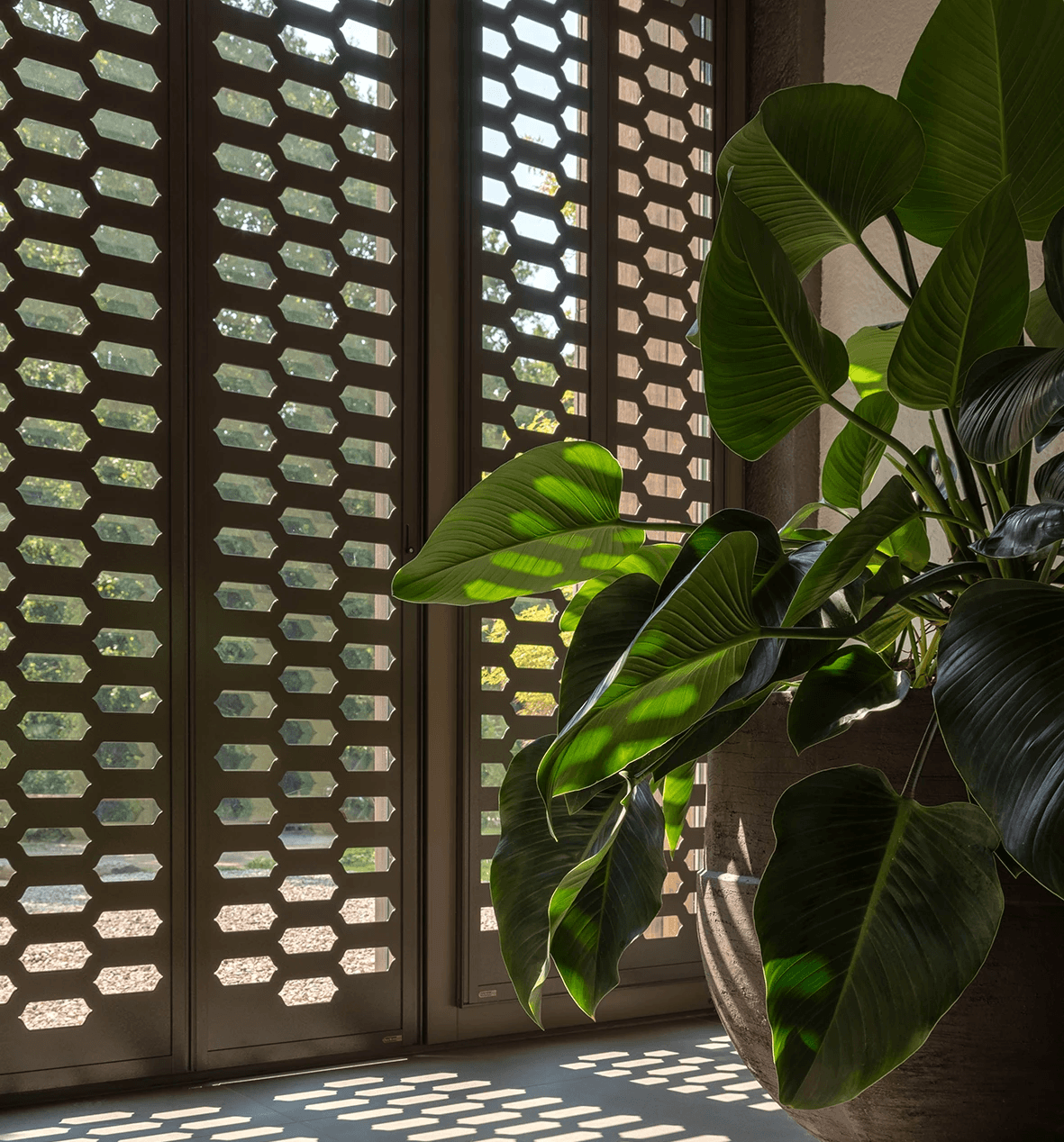 Fractions - Dugreja Putten