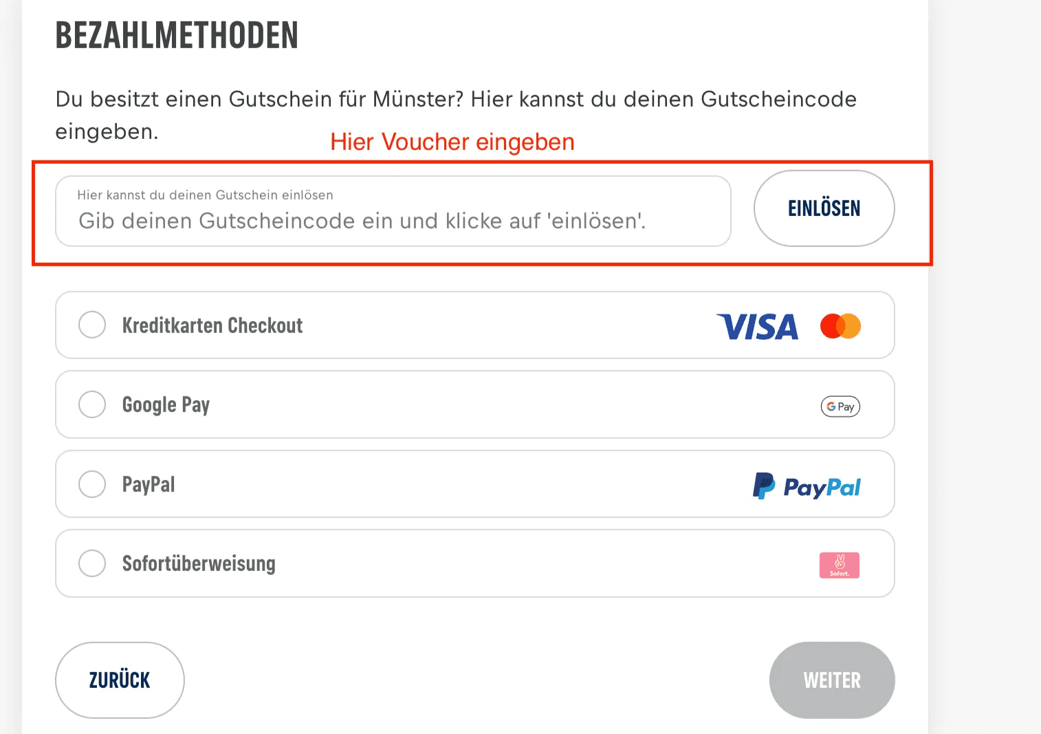 Wings for Life Website Screenshot Bezahlmaske