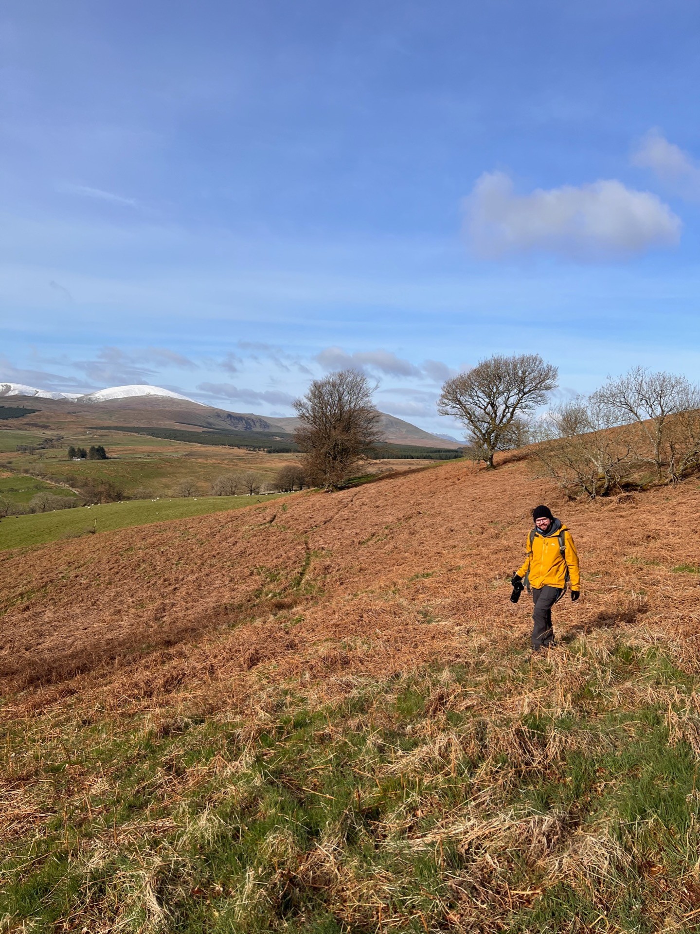 Martin is walking back through old bracken after taking a photo.