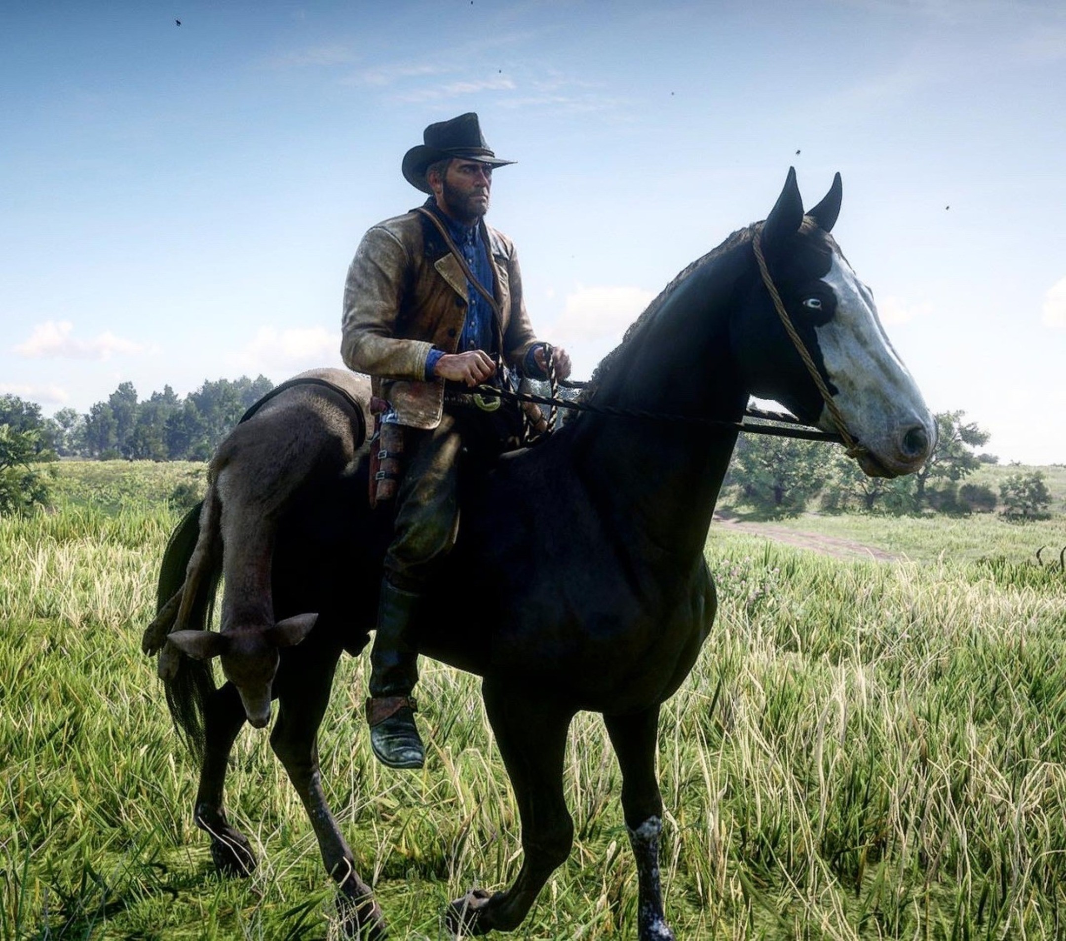 Van der Linde gang horses, best RDR2 horses, RDR2 horse guide, RDR2 gang horses, RDR2 Van der Linde horses, best horses in Red Dead Redemption 2, RDR2 best horse comparison, RDR2 Micah horse Baylock, RDR2 Dutch horse The Count, RDR2 Hosea horse Silver Dollar, RDR2 Bill horse Brown Jack, Missouri Fox Trotter RDR2, Arabian horse RDR2, Turkoman horse RDR2, Ardennes horse RDR2, strongest horses in RDR2, fastest horses in RDR2, RDR2 horse breeds explained, RDR2 horse stats, RDR2 best companion horses, RDR2 horse ranking, RDR2 best gang member horse, Red Dead Redemption 2 horse list, RDR2 story horses, RDR2 horse personalities, RDR2 rare horses, RDR2 horse analysis, RDR2 horse performance, RDR2 horse speed comparison, RDR2 war horses, RDR2 elite horses, RDR2 horse lovers guide, who has the best horse in RDR2, Van der Linde gang best horse, RDR2 cinematic horses, RDR2 lore horses, RDR2 horse fan guide, RDR2 top horses, RDR2 horse tier list, RDR2 iconic horses