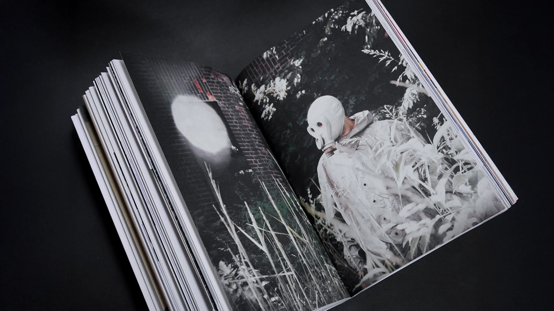 Livre ouvert sur une double page photographique. La page de droite montre une personne vêtue d'une combinaison blanche et d'un masque à gaz, debout au milieu d'une végétation dense et brumeuse.