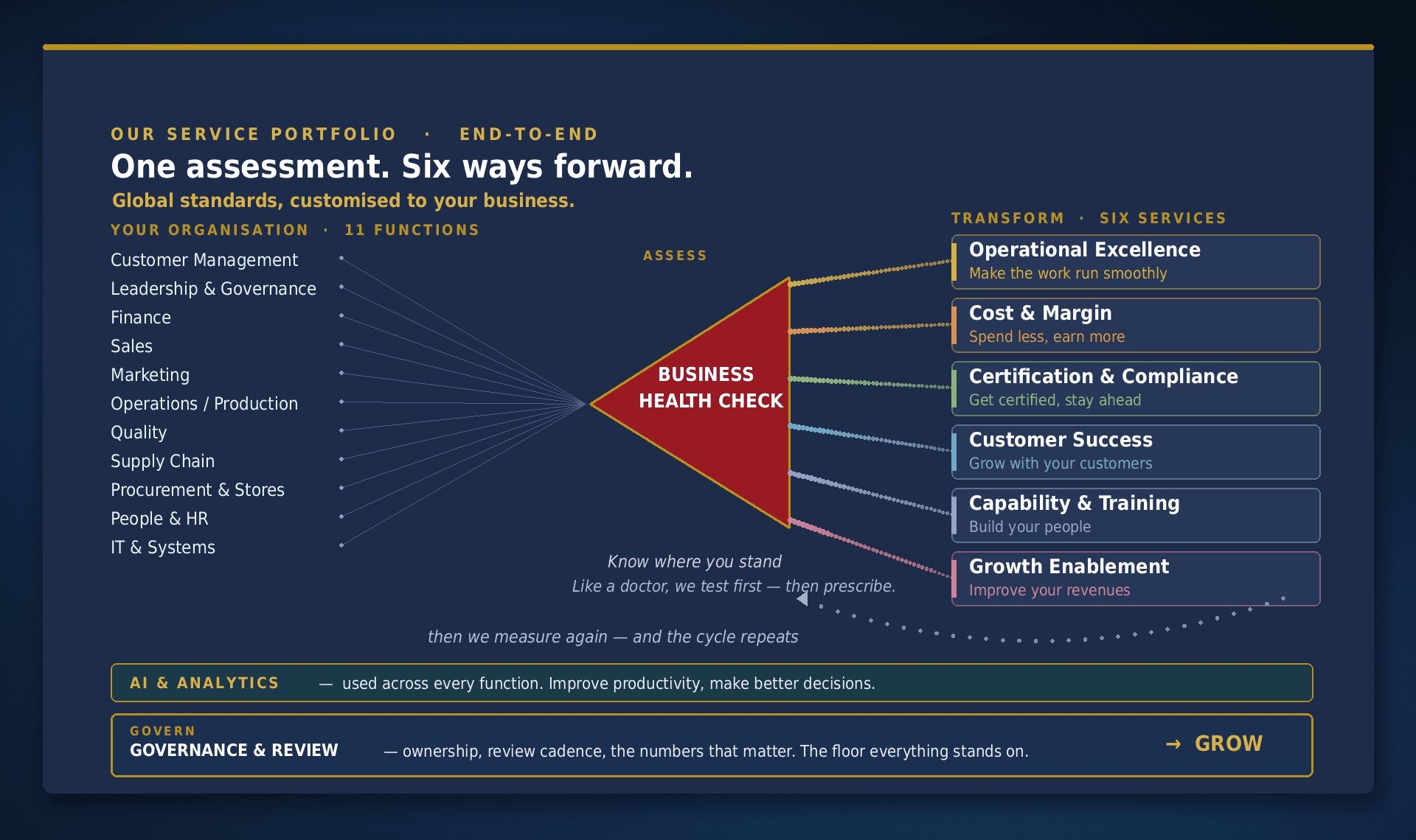 EnterWise Business Health Check Prism showing the assessment-to-growth framework