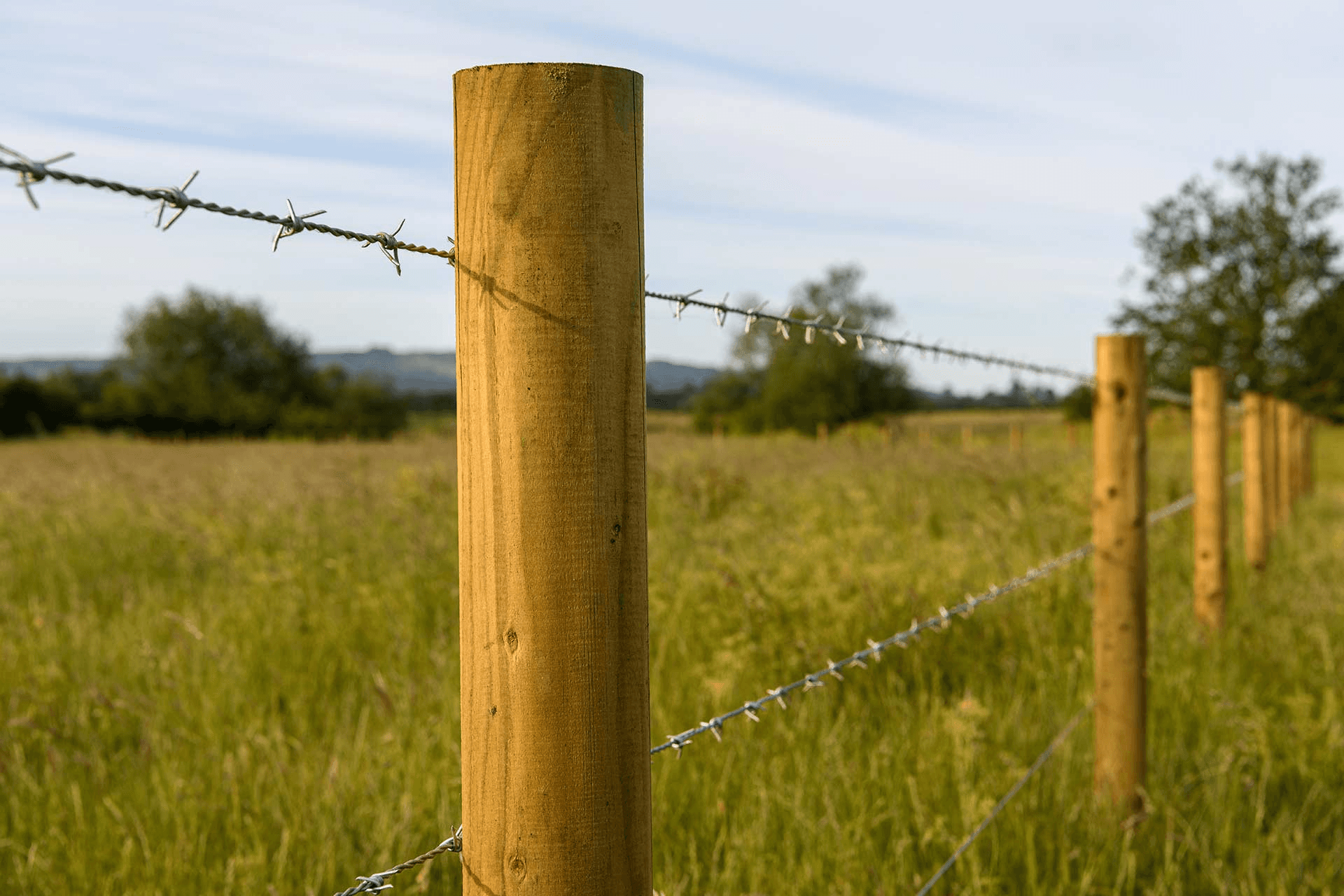 Replace a Post