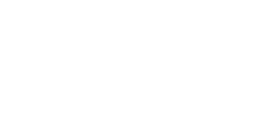 Camel Active