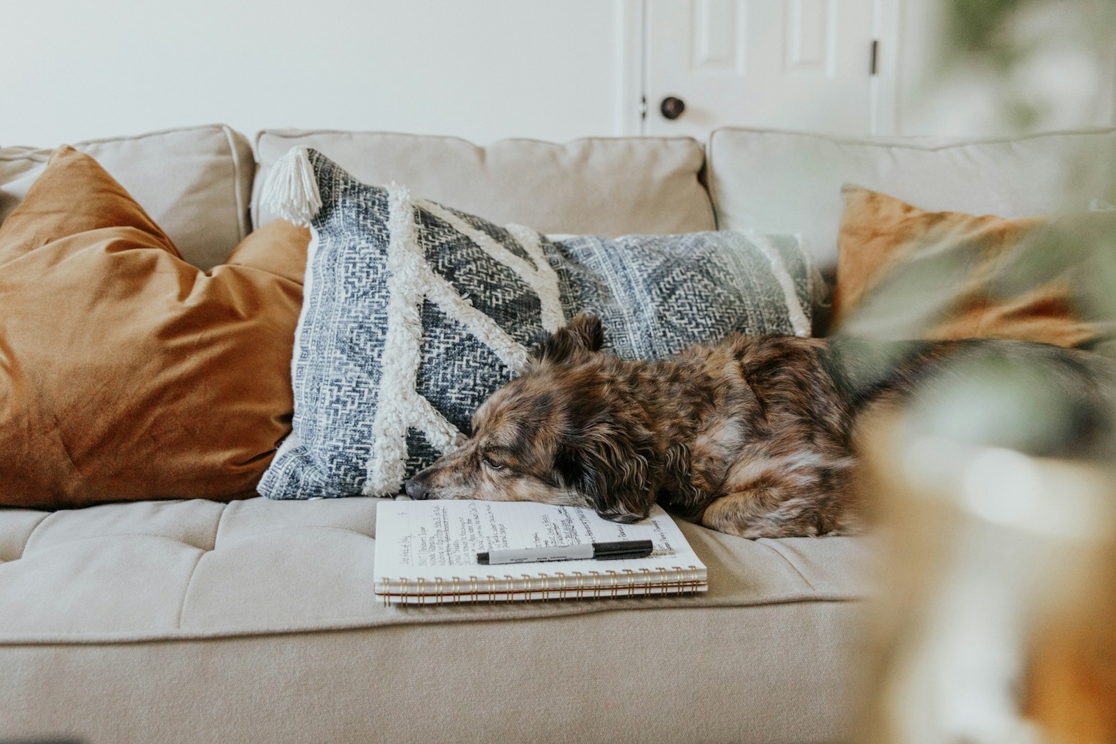 A dog resting beside a notebook in a calm home