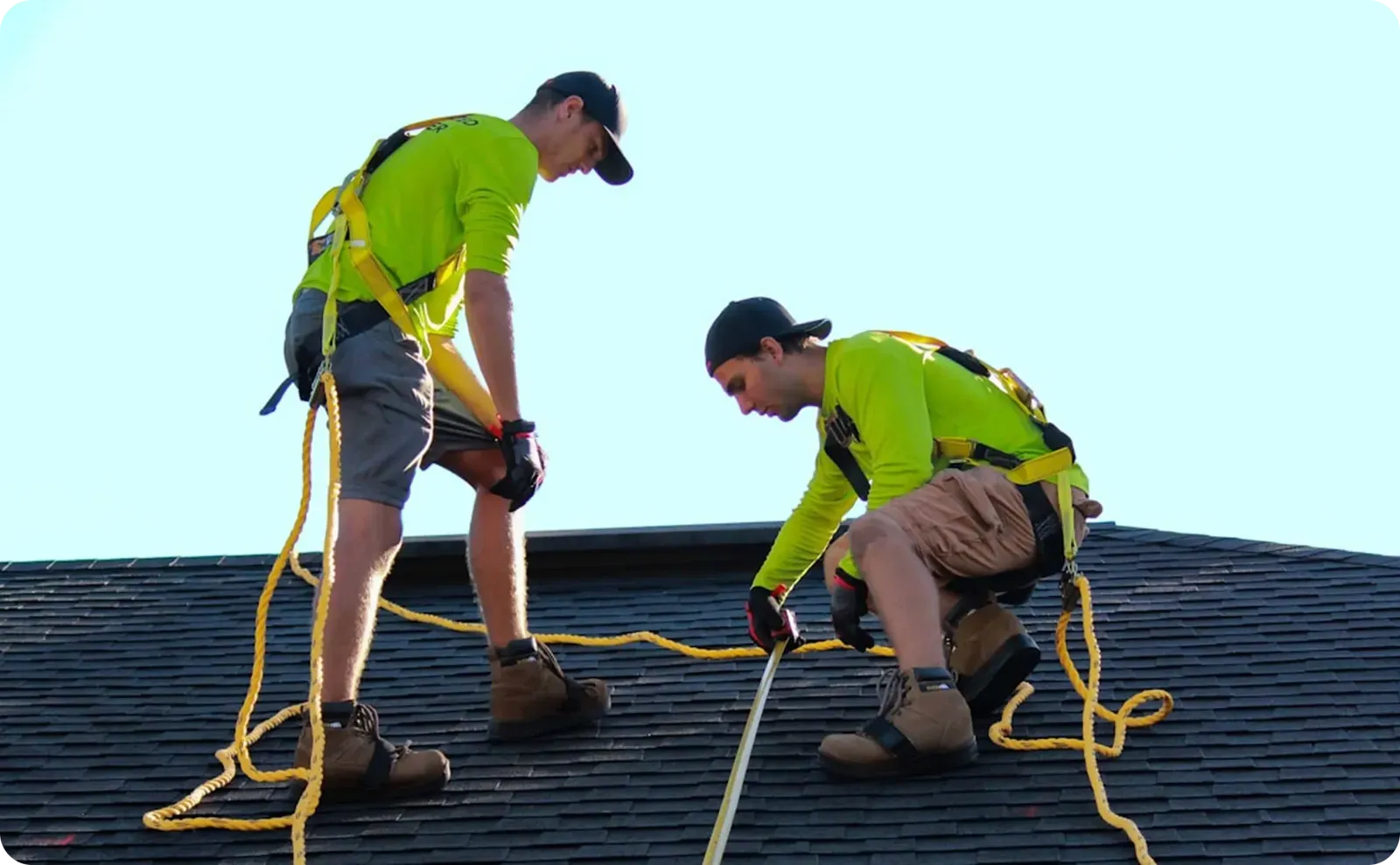 Free Inspection – image