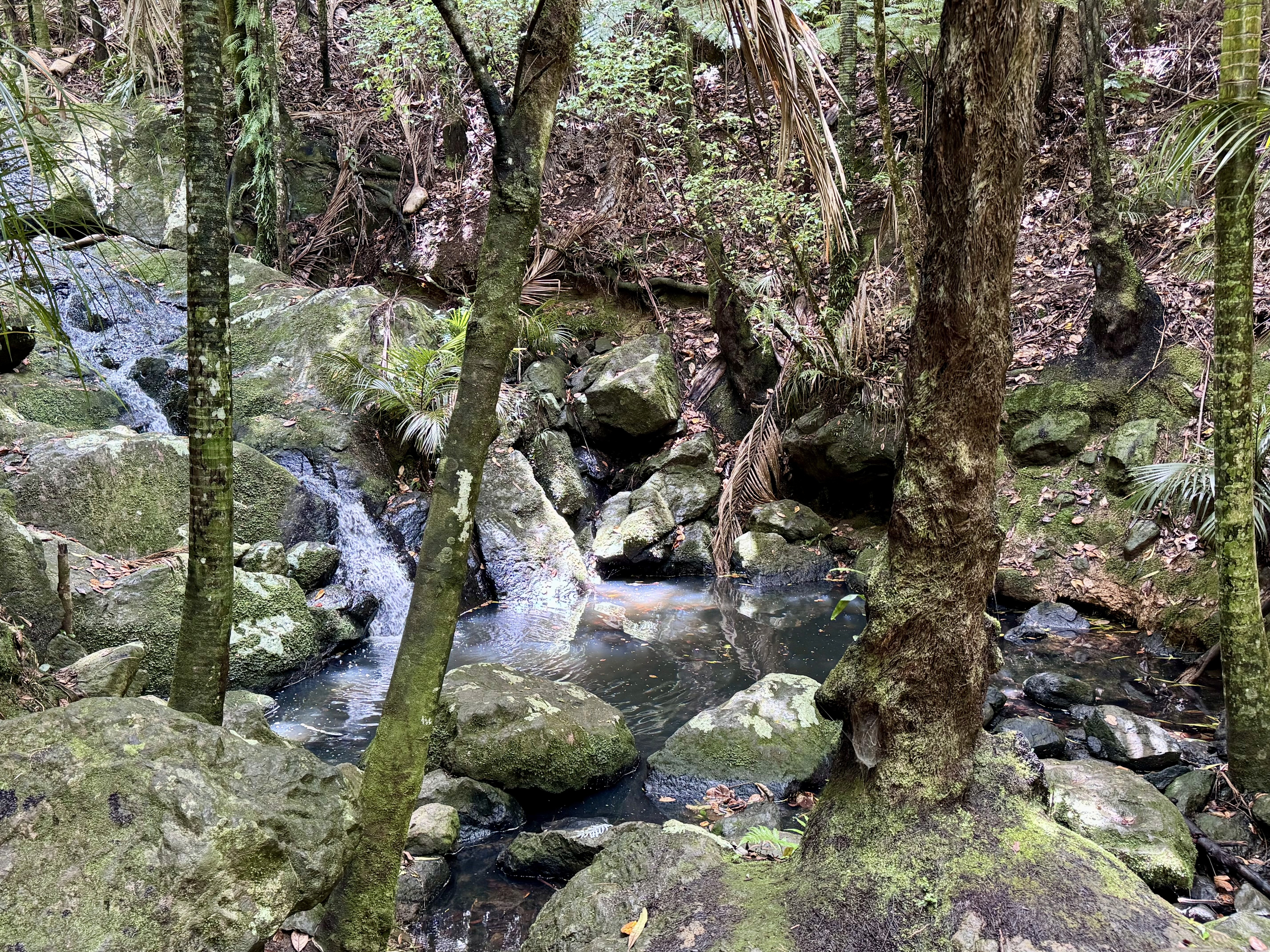 Cascades waterfall and its pool in Waiheke island