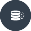 Favicon SSIS