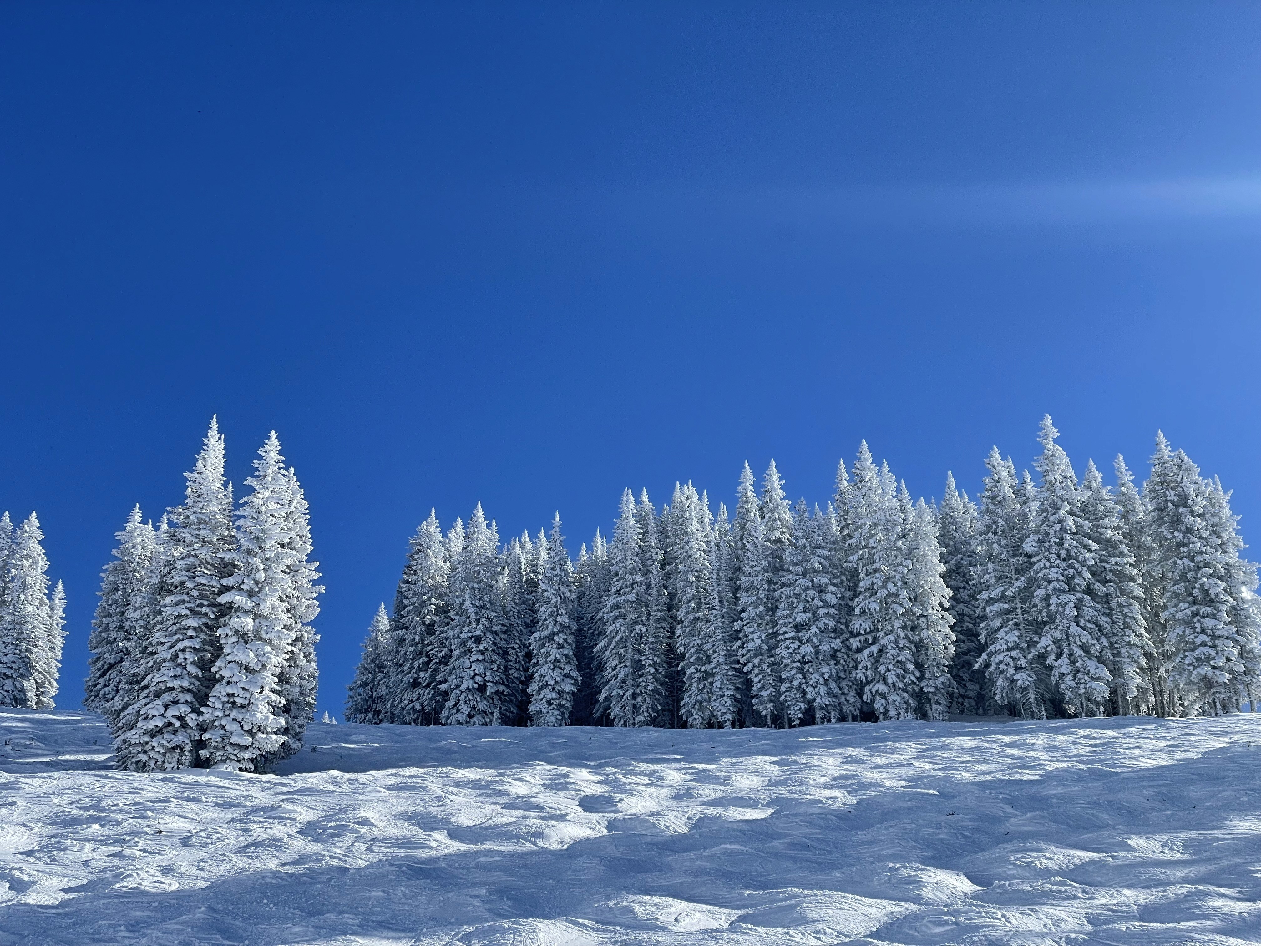 Vail Ski Resort